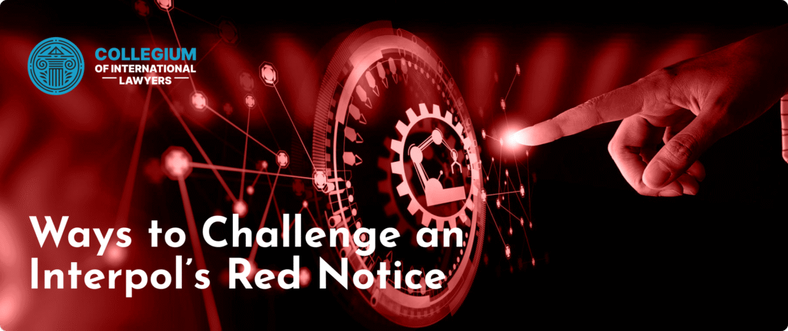 Legal Assistance for Navigating Interpol Alerts 377348688